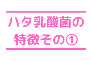ハタ乳酸菌の特徴その① ハタ乳酸菌の特徴その①