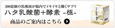 ハタ乳酸菌+酵素